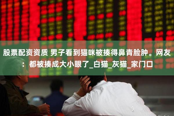 股票配资资质 男子看到猫咪被揍得鼻青脸肿。网友：都被揍成大小眼了_白猫_灰猫_家门口