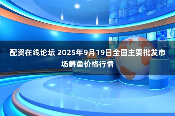 配资在线论坛 2025年9月19日全国主要批发市场鲟鱼价格行情
